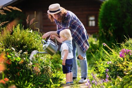 15 tuintips voor augustus