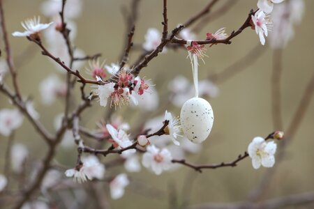 Fleurig Pasen in huis en tuin