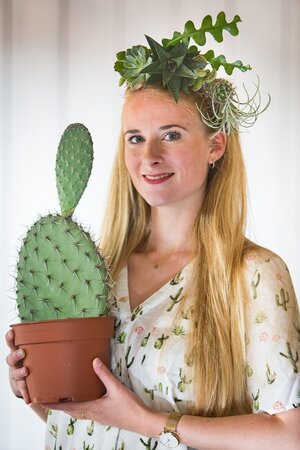 Gezien in de folder: Cactus parade