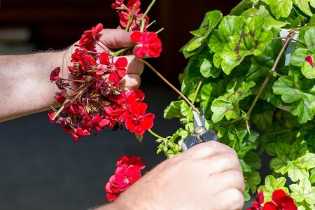 Maak de tuin vakantieproof