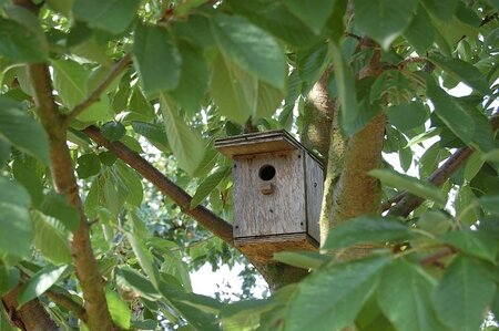 Wat te doen in de tuin in november?