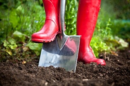 De moestuin maand na maand : Januari & Februari.