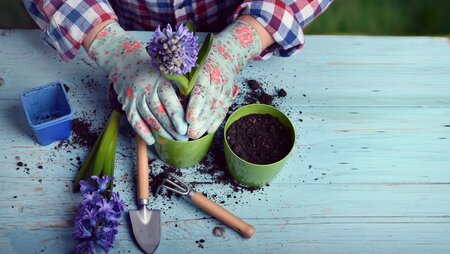 Tuintips mei