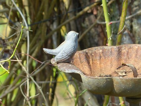 Vogelvoerhuisjes en -bakjes maken