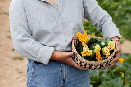 Wat kun je nog oogsten in september? Tips voor een volle (fruit)mand!