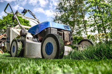 Wat te doen in de tuin in mei?