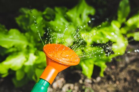 Water in de tuin