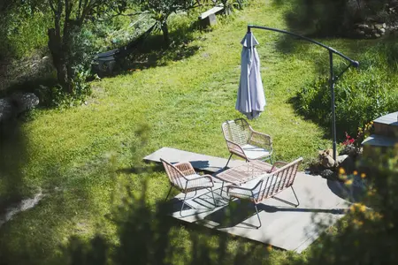 Weg met grijs: zo til je jouw tegeltuin naar een groener (en dus vrolijker) level!