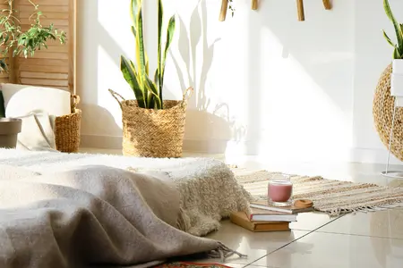 Zzz... slaapverwekkend groen: planten voor een betere nachtrust