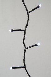 Basic rice lights 180led 13.5m cool white | Lumineo 494255