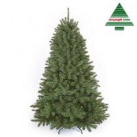 lepel Hiel werkwoord Forest Frosted Pine green 155cm | Triumph Tree Premium - Tuincentrum Meijers