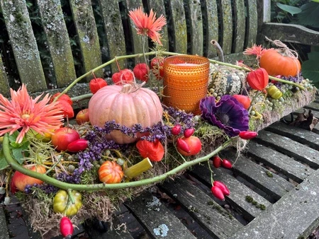 Herfstsworkshop - Zaterdag 24 oktober 2026 | 10.00u - afbeelding 3