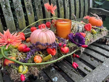 Herfstsworkshop - Zaterdag 24 oktober 2026 | 10.00u - afbeelding 3