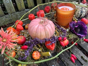 Herfstsworkshop - Zaterdag 24 oktober 2026 | 10.00u - afbeelding 4