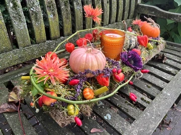 Herfstsworkshop - Zaterdag 24 oktober 2026 | 10.00u - afbeelding 6