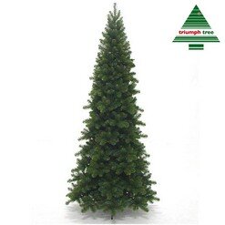 Pencil Pine 245 cm | Triumph Tree Premium
