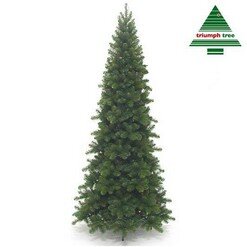Pencil Pine 260 cm | Triumph Tree Premium