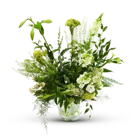 Plukboeket Jade | S