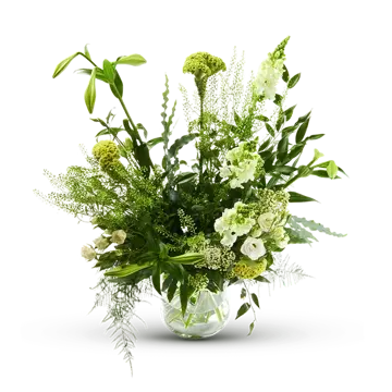 Plukboeket Jade | S