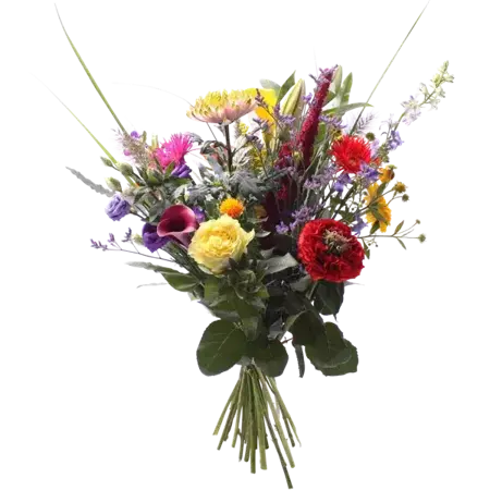 Plukboeket met seizoensbloemen | S