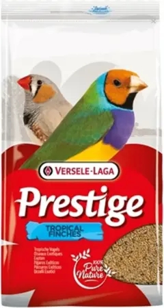 Tropische vogels 4kg