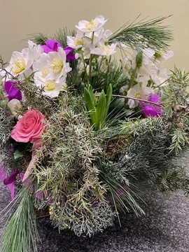 Winterworkshop - Zaterdag 31 januari 2026 10.00u - afbeelding 3