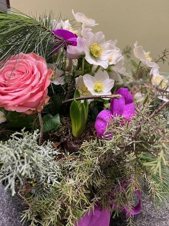 Winterworkshop - Zaterdag 31 januari 2026 10.00u - afbeelding 4