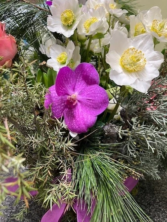 Winterworkshop - Zaterdag 31 januari 2026 10.00u - afbeelding 5